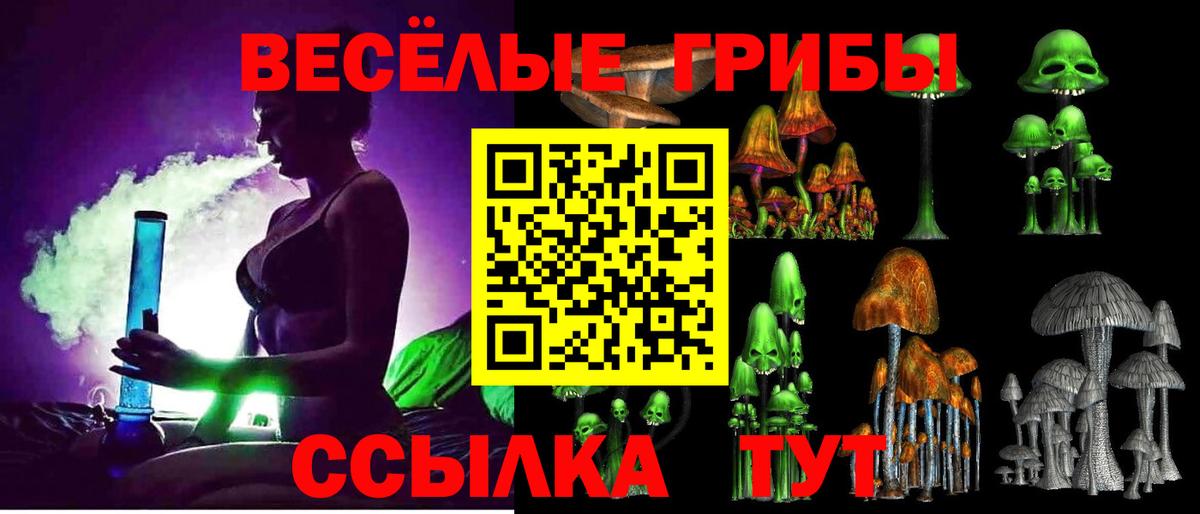 Галлюциногенные грибы Cubensis Бахчисарай